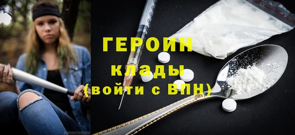 гидра Няндома