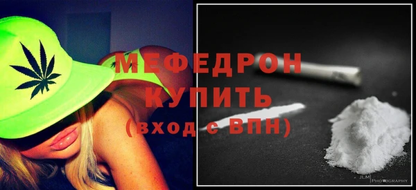 гидра Няндома