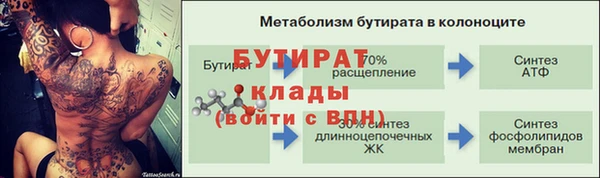 гидра Няндома