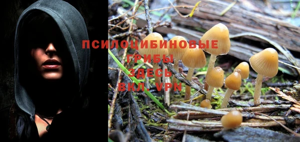гидра Няндома