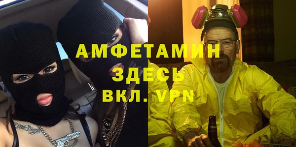 гидра Няндома