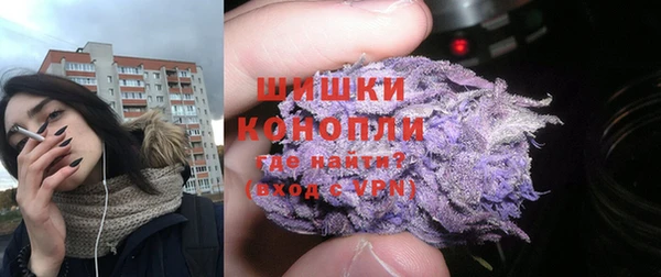 гидра Няндома
