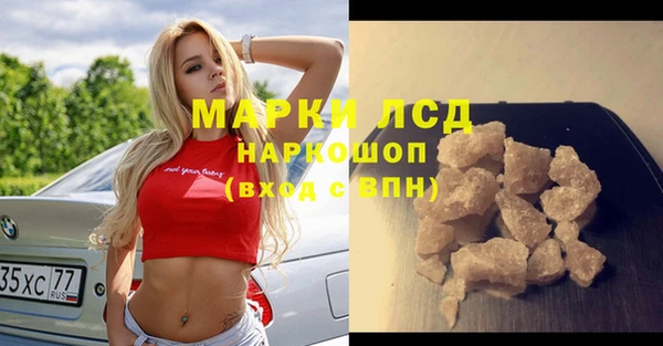 гидра Няндома
