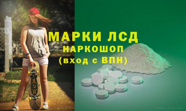 гидра Няндома